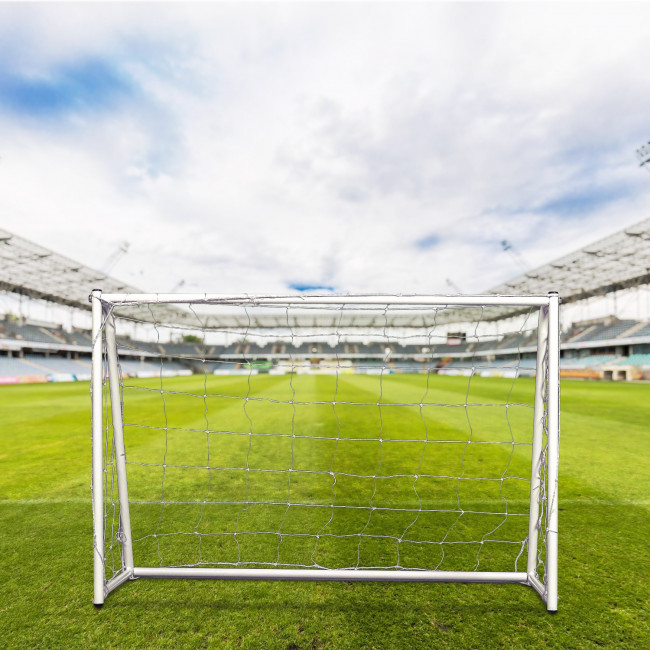 Ворота игровые DFC GOAL120 120x80x55cm Ворота игровые DFC GOAL120 120x80x55cm