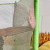 Батут детский DFC ANIMALS KOALA 55" с сеткой Батут детский DFC ANIMALS KOALA 55" с сеткой