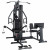 Силовой комплекс Body Craft XPRESS Gym Силовой комплекс Body Craft XPRESS Gym