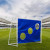 Ворота игровые DFC GOAL150T 150x110x60cm с тентом для отрабатывания ударов Ворота игровые DFC GOAL150T 150x110x60cm с тентом для отрабатывания ударов