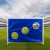 Ворота игровые DFC GOAL150T 150x110x60cm с тентом для отрабатывания ударов Ворота игровые DFC GOAL150T 150x110x60cm с тентом для отрабатывания ударов